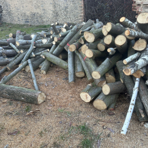 PRODEJ KONTEJNERU LISTNATÝCH METROVEK 10,1 PRM – MIX (LÍPA, BŘÍZA, JASAN A DALŠÍ) – PALIVOVÉ DŘEVO