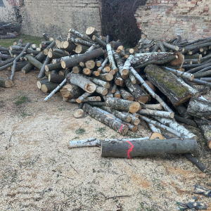 PRODEJ KONTEJNERU LISTNATÝCH METROVEK 10,1 PRM – MIX (LÍPA, BŘÍZA, JASAN A DALŠÍ) – PALIVOVÉ DŘEVO